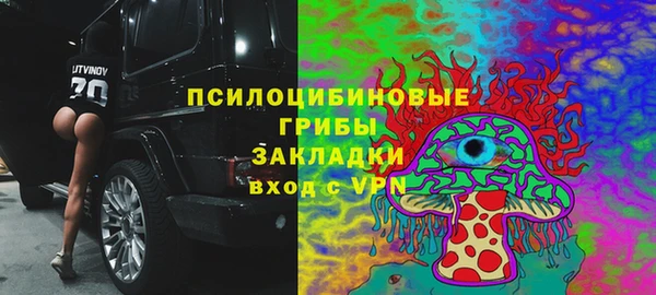 молекула духа Алексеевка