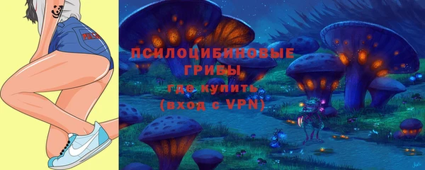 молекула духа Алексеевка